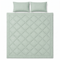Moonora All-in-One Duvet in Soft Mint Green with two pillowcases