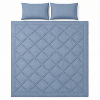 Moonora All-in-One Duvet in Coastal Blue with two pillowcases